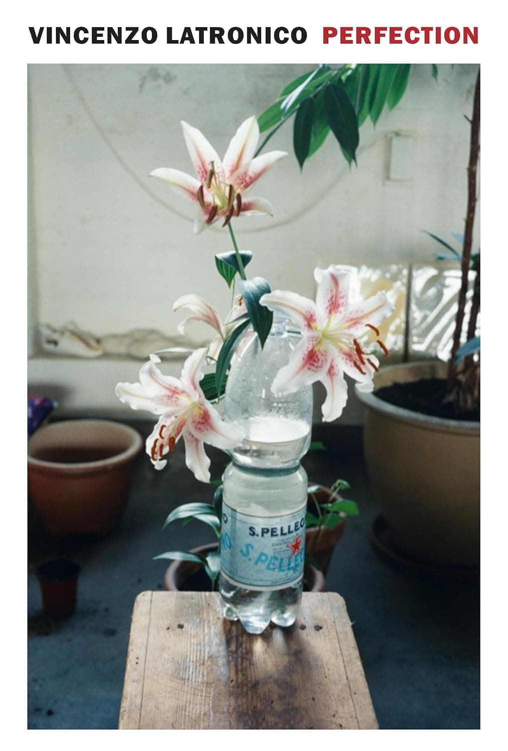 Cover of Perfection by Vincenzo Latronico